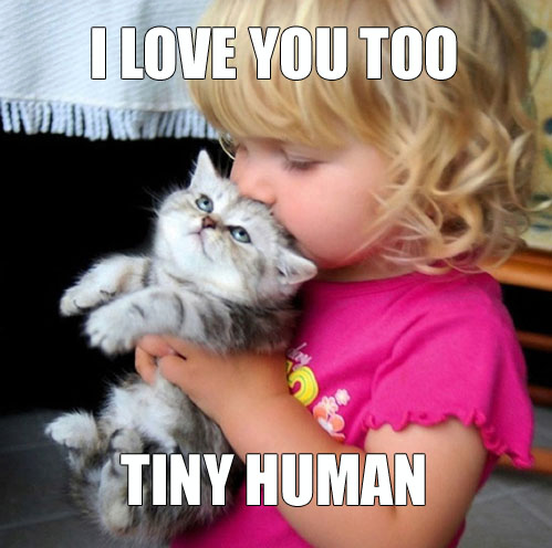 Cats- i love u too